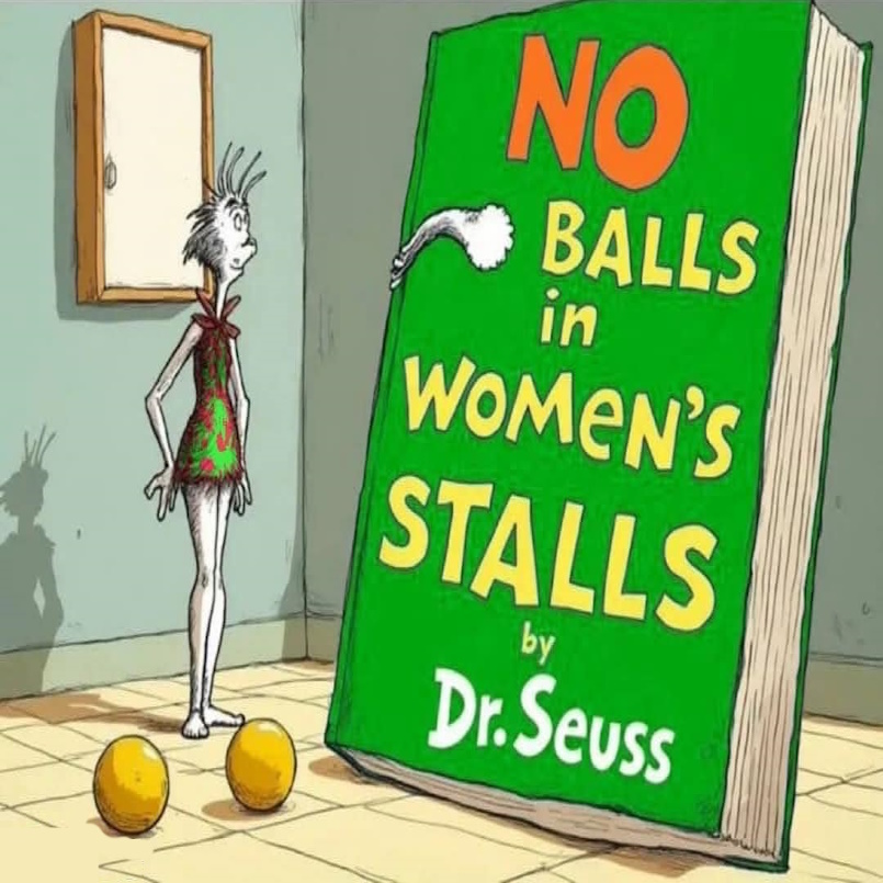 No Balls in Women's Stalls