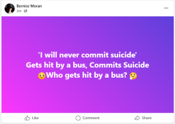 hit-by-bus-suicide
